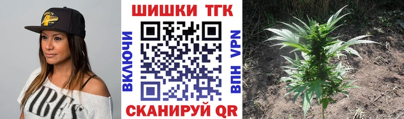 Какие есть наркотики Ершов A-PVP  Канабис  АМФ  blacksprut ссылка  Меф  ГАШ 