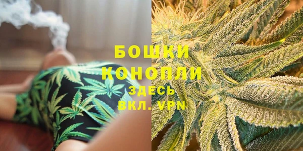 индика Михайловск