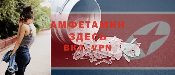 индика Михайловск