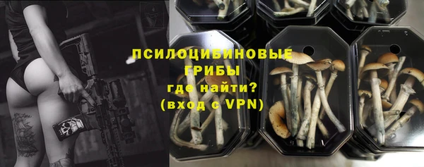 PSILOCYBIN Михайловка