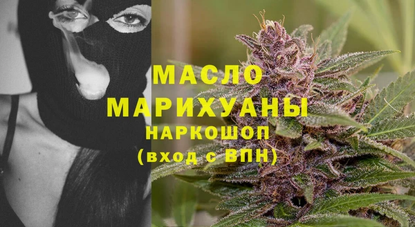 индика Михайловск