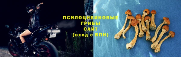 PSILOCYBIN Михайловка
