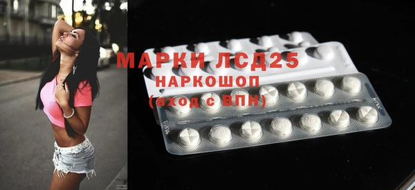 индика Михайловск