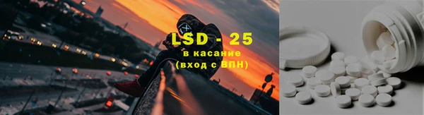 индика Михайловск