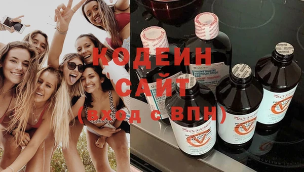 индика Михайловск