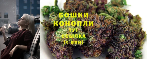 стаф Михайлов
