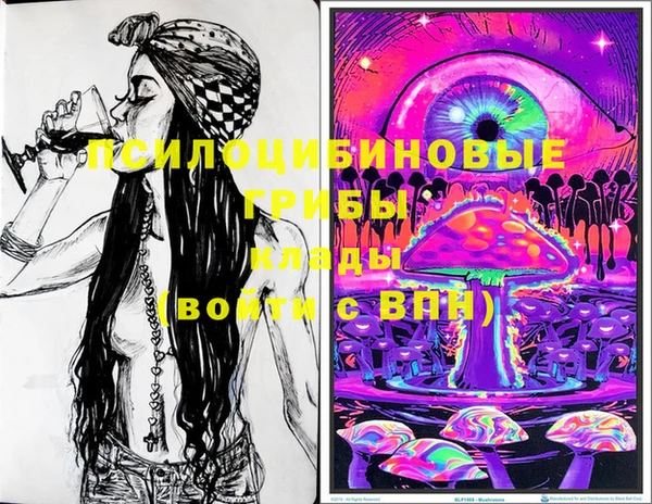PSILOCYBIN Михайловка