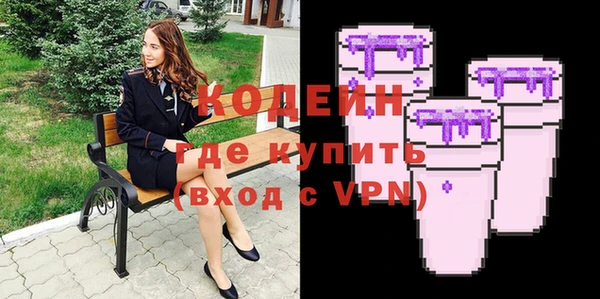 индика Михайловск
