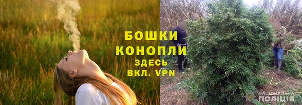 стаф Михайлов