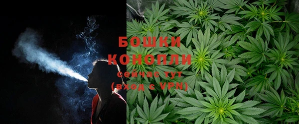 индика Михайловск