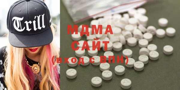 индика Михайловск