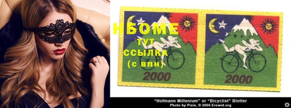 индика Михайловск